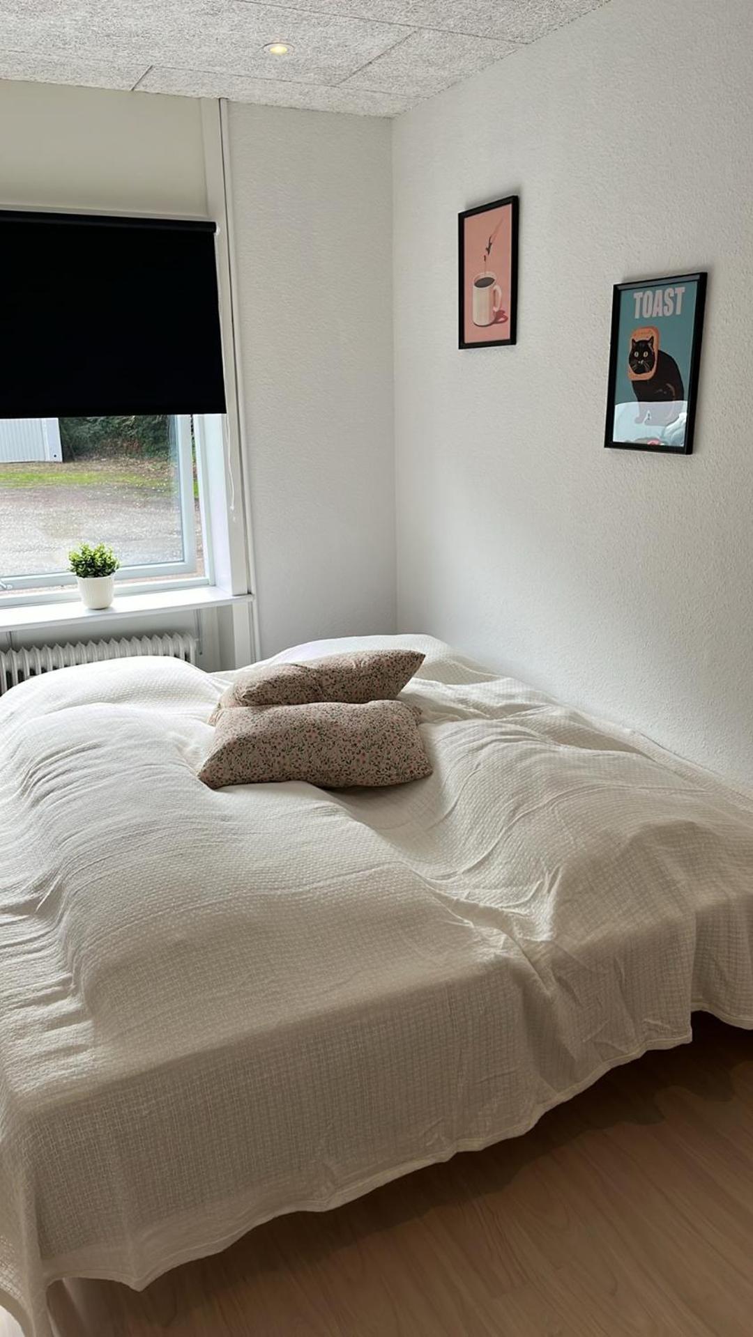 Billund Mini Hostel Room 10 - Taet Pa Legoland Og Lego House מראה חיצוני תמונה